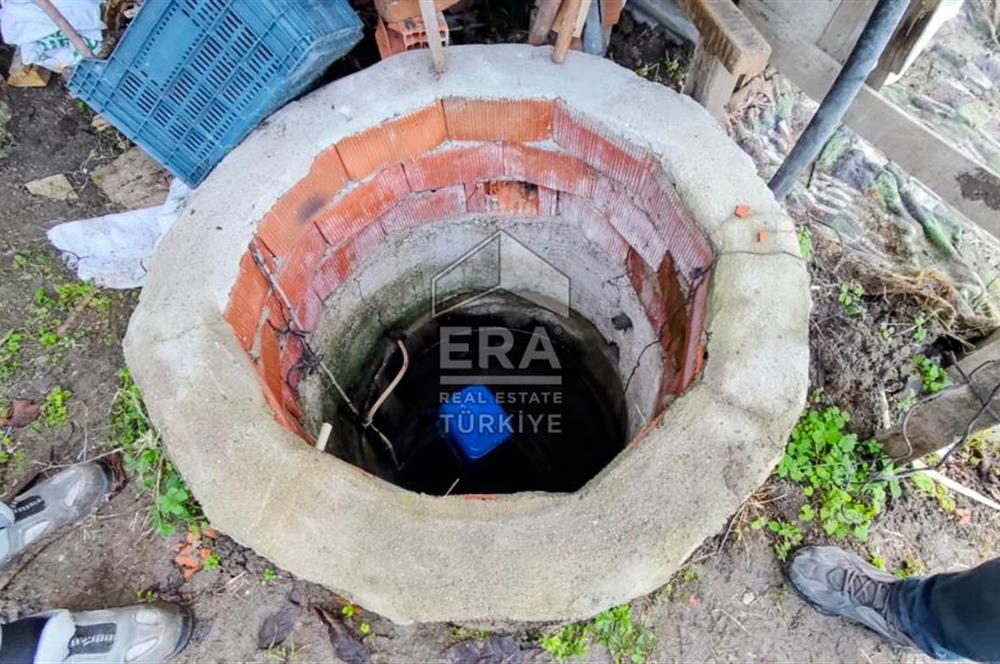 ERA SÖZ GAYRİMENKUL’DEN SUSURLUK GÖBEL’DE HEMEN GELİR GETİREN, DEĞERİ HER GEÇEN GÜN ARTAN SATILIK ZEYTİNLİK