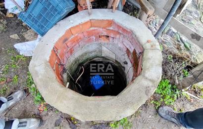 ERA SÖZ GAYRİMENKUL’DEN SUSURLUK GÖBEL’DE HEMEN GELİR GETİREN, DEĞERİ HER GEÇEN GÜN ARTAN SATILIK ZEYTİNLİK