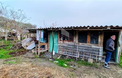 ERA SÖZ GAYRİMENKUL’DEN SUSURLUK GÖBEL’DE HEMEN GELİR GETİREN, DEĞERİ HER GEÇEN GÜN ARTAN SATILIK ZEYTİNLİK