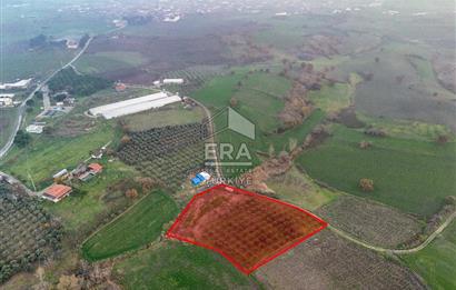 ERA SÖZ GAYRİMENKUL’DEN SUSURLUK GÖBEL’DE HEMEN GELİR GETİREN, DEĞERİ HER GEÇEN GÜN ARTAN SATILIK ZEYTİNLİK