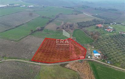 ERA SÖZ GAYRİMENKUL’DEN SUSURLUK GÖBEL’DE HEMEN GELİR GETİREN, DEĞERİ HER GEÇEN GÜN ARTAN SATILIK ZEYTİNLİK