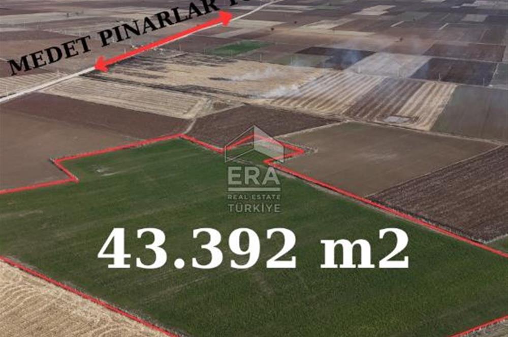 Tavas Medette Muğla Asfaltına Çok Yakın Yatırımlık Satılık Arazi
