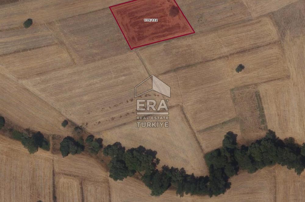 ERA PORT GÜVENCESİYLE BALIKESİR KARESİ OVACIK 1831m² TARLA