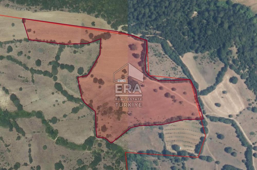 ERA PORT GÜVENCESİYLE DURSUNBEY VELİLER'DE SATILIK TARLA
