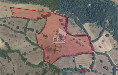 ERA PORT GÜVENCESİYLE DURSUNBEY VELİLER'DE SATILIK TARLA