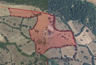 ERA PORT GÜVENCESİYLE DURSUNBEY VELİLER'DE SATILIK TARLA - 6 - 14257