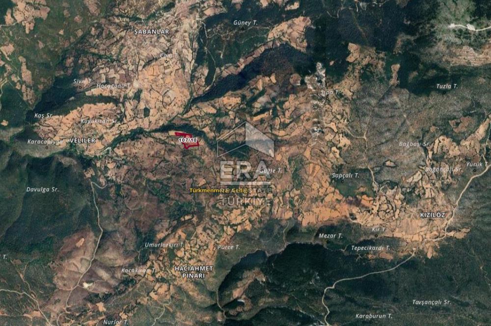 ERA PORT GÜVENCESİYLE DURSUNBEY VELİLER'DE SATILIK TARLA