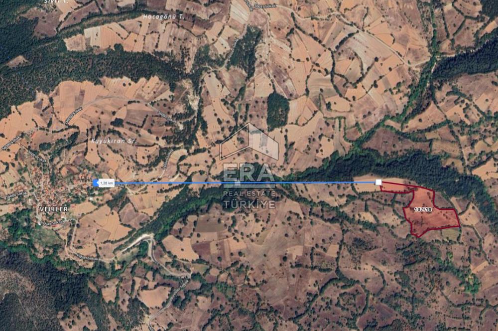 ERA PORT GÜVENCESİYLE DURSUNBEY VELİLER'DE SATILIK TARLA