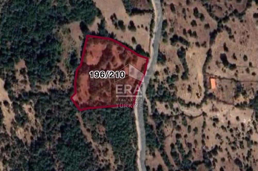 ERA PORT GÜVENCESİYLE BİGADİÇ DAVUTLARDA SATILIK TARLA