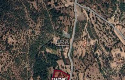 ERA PORT GÜVENCESİYLE BİGADİÇ DAVUTLARDA SATILIK TARLA