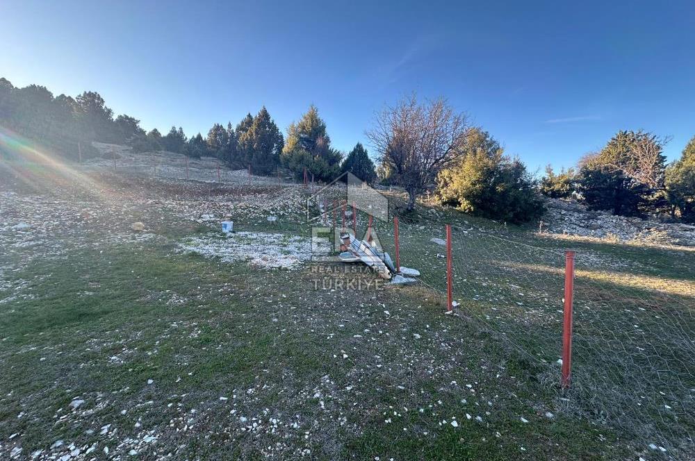 ANTALYA AKSEKİ BÜYÜKALAN MAHALLESİ SATILIK TEK TAPU TARLA