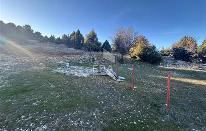 ANTALYA AKSEKİ BÜYÜKALAN MAHALLESİ SATILIK TEK TAPU TARLA