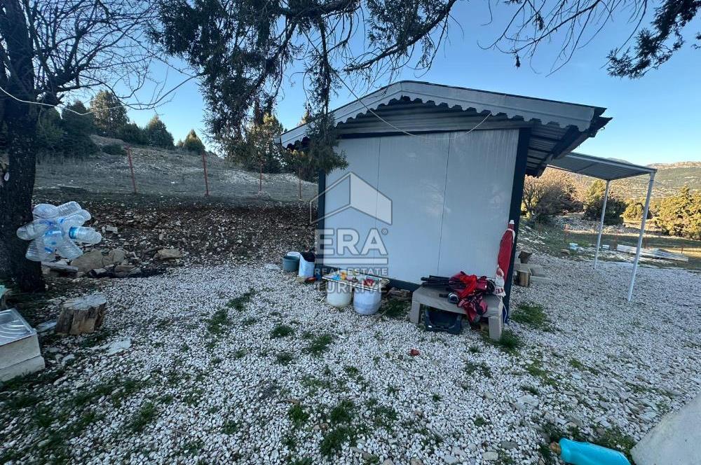 ANTALYA AKSEKİ BÜYÜKALAN MAHALLESİ SATILIK TEK TAPU TARLA