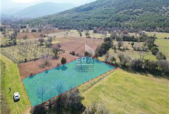 Tavas Pınarlarda Hobi Bahçesi Ve Bağ Evine Uygun Satılık Arazi - 10 - 14252