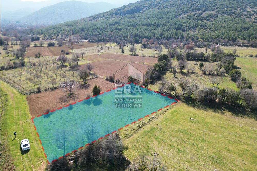 Tavas Pınarlarda Hobi Bahçesi Ve Bağ Evine Uygun Satılık Arazi