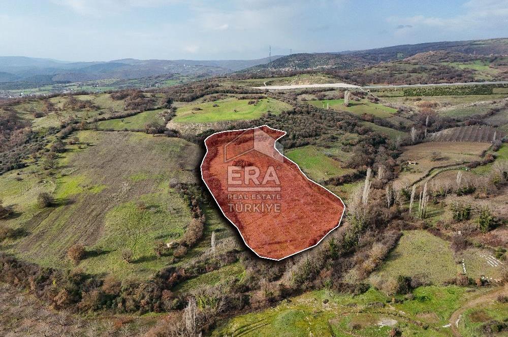 ERA SÖZ GAYRİMENKUL’DEN SAVAŞTEPE KOCABIYIKLAR’DA YATIRIMINIZI GELECEĞE TAŞIYAN, YÜKSEK KAZANÇLI CEVİZ VE BADEM BAHÇESİ!