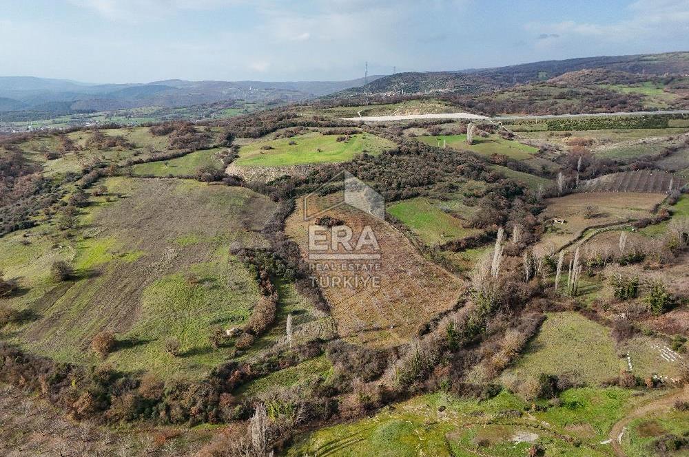 ERA SÖZ GAYRİMENKUL’DEN SAVAŞTEPE KOCABIYIKLAR’DA YATIRIMINIZI GELECEĞE TAŞIYAN, YÜKSEK KAZANÇLI CEVİZ VE BADEM BAHÇESİ!