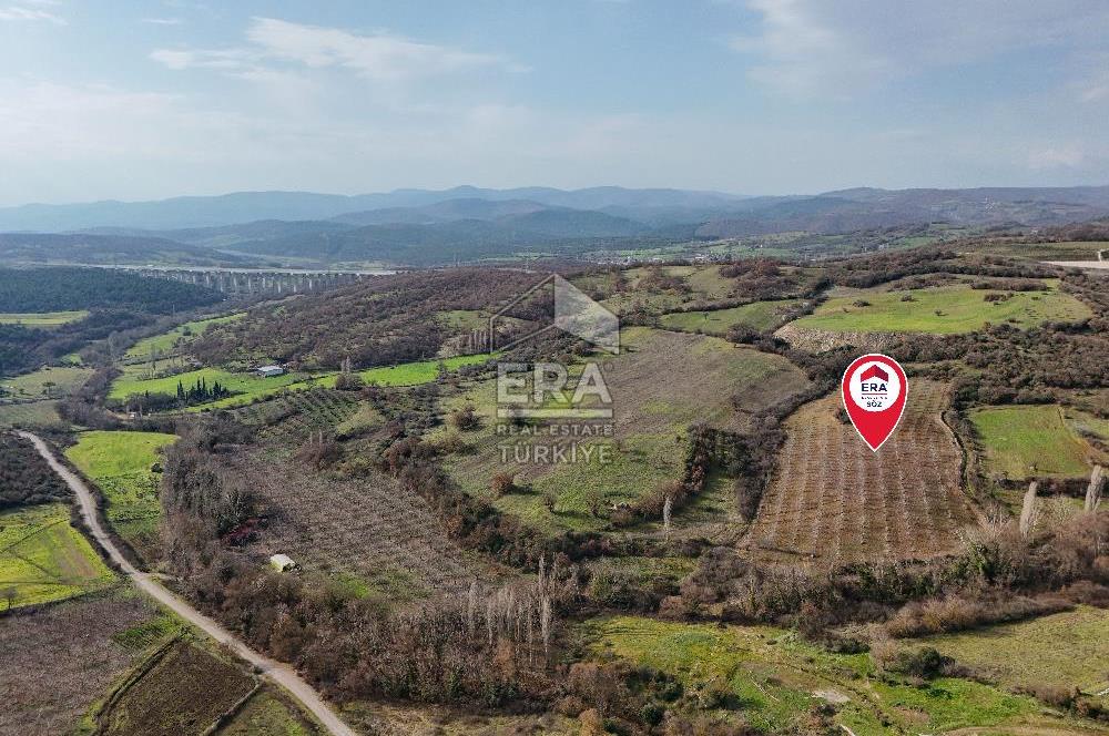 ERA SÖZ GAYRİMENKUL’DEN SAVAŞTEPE KOCABIYIKLAR’DA YATIRIMINIZI GELECEĞE TAŞIYAN, YÜKSEK KAZANÇLI CEVİZ VE BADEM BAHÇESİ!