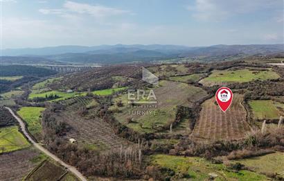 ERA SÖZ GAYRİMENKUL’DEN SAVAŞTEPE KOCABIYIKLAR’DA YATIRIMINIZI GELECEĞE TAŞIYAN, YÜKSEK KAZANÇLI CEVİZ VE BADEM BAHÇESİ!
