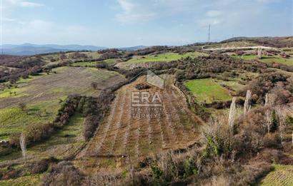 ERA SÖZ GAYRİMENKUL’DEN SAVAŞTEPE KOCABIYIKLAR’DA YATIRIMINIZI GELECEĞE TAŞIYAN, YÜKSEK KAZANÇLI CEVİZ VE BADEM BAHÇESİ!
