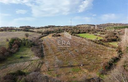ERA SÖZ GAYRİMENKUL’DEN SAVAŞTEPE KOCABIYIKLAR’DA YATIRIMINIZI GELECEĞE TAŞIYAN, YÜKSEK KAZANÇLI CEVİZ VE BADEM BAHÇESİ!