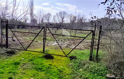 ERA SÖZ GAYRİMENKUL’DEN SAVAŞTEPE KOCABIYIKLAR’DA YATIRIMINIZI GELECEĞE TAŞIYAN, YÜKSEK KAZANÇLI CEVİZ VE BADEM BAHÇESİ!