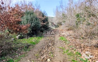 ERA SÖZ GAYRİMENKUL’DEN SAVAŞTEPE KOCABIYIKLAR’DA YATIRIMINIZI GELECEĞE TAŞIYAN, YÜKSEK KAZANÇLI CEVİZ VE BADEM BAHÇESİ!