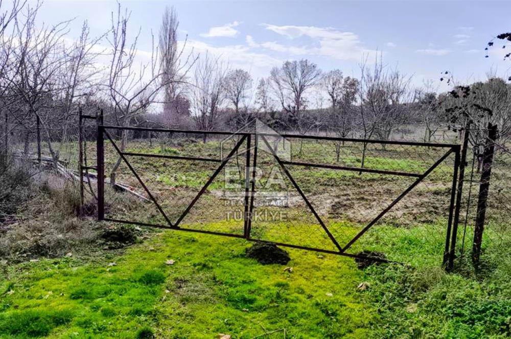ERA SÖZ GAYRİMENKUL’DEN SAVAŞTEPE KOCABIYIKLAR’DA YATIRIMINIZI GELECEĞE TAŞIYAN, YÜKSEK KAZANÇLI CEVİZ VE BADEM BAHÇESİ!