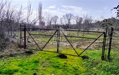 ERA SÖZ GAYRİMENKUL’DEN SAVAŞTEPE KOCABIYIKLAR’DA YATIRIMINIZI GELECEĞE TAŞIYAN, YÜKSEK KAZANÇLI CEVİZ VE BADEM BAHÇESİ!