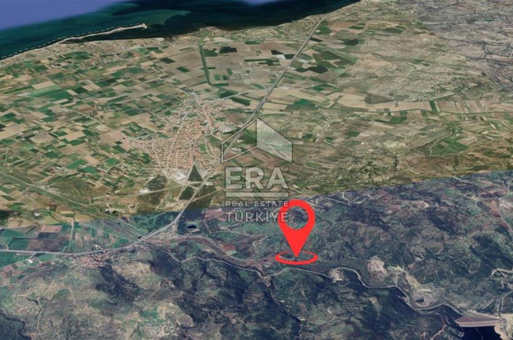 Era Angel'dan Ayvalık'ta Tarla (240 Zeytin Ağacı- 11.500m2)
