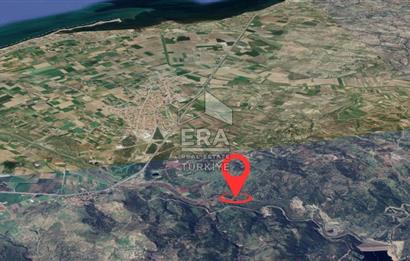 Era Angel'dan Ayvalık'ta Tarla (240 Zeytin Ağacı- 11.500m2)