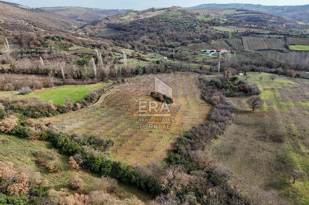 ERA SÖZ GAYRİMENKUL’DEN SAVAŞTEPE KOCABIYIKLAR’DA YATIRIMINIZI GELECEĞE TAŞIYAN, YÜKSEK KAZANÇLI CEVİZ VE BADEM BAHÇESİ!