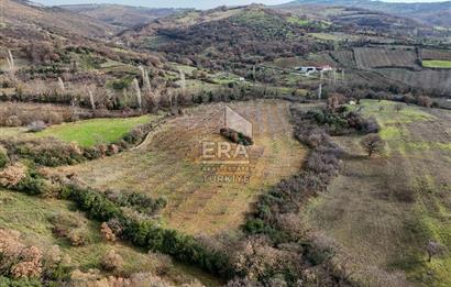 ERA SÖZ GAYRİMENKUL’DEN SAVAŞTEPE KOCABIYIKLAR’DA YATIRIMINIZI GELECEĞE TAŞIYAN, YÜKSEK KAZANÇLI CEVİZ VE BADEM BAHÇESİ!