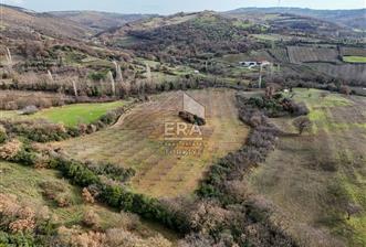 ERA SÖZ GAYRİMENKUL’DEN SAVAŞTEPE KOCABIYIKLAR’DA YATIRIMINIZI GELECEĞE TAŞIYAN, YÜKSEK KAZANÇLI CEVİZ VE BADEM BAHÇESİ! - 1 - 14301