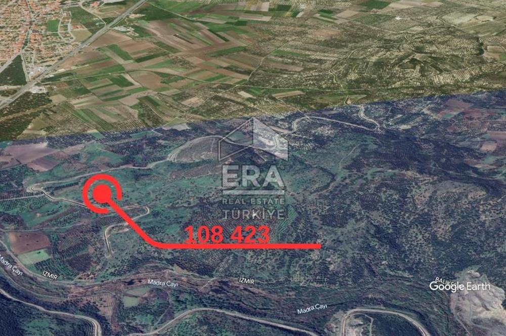 Era Angel'dan Ayvalık'ta Tarla (240 Zeytin Ağacı- 11.500m2)