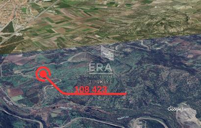 Era Angel'dan Ayvalık'ta Tarla (240 Zeytin Ağacı- 11.500m2)