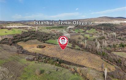 ERA SÖZ GAYRİMENKUL’DEN SAVAŞTEPE KOCABIYIKLAR’DA YATIRIMINIZI GELECEĞE TAŞIYAN, YÜKSEK KAZANÇLI CEVİZ VE BADEM BAHÇESİ!