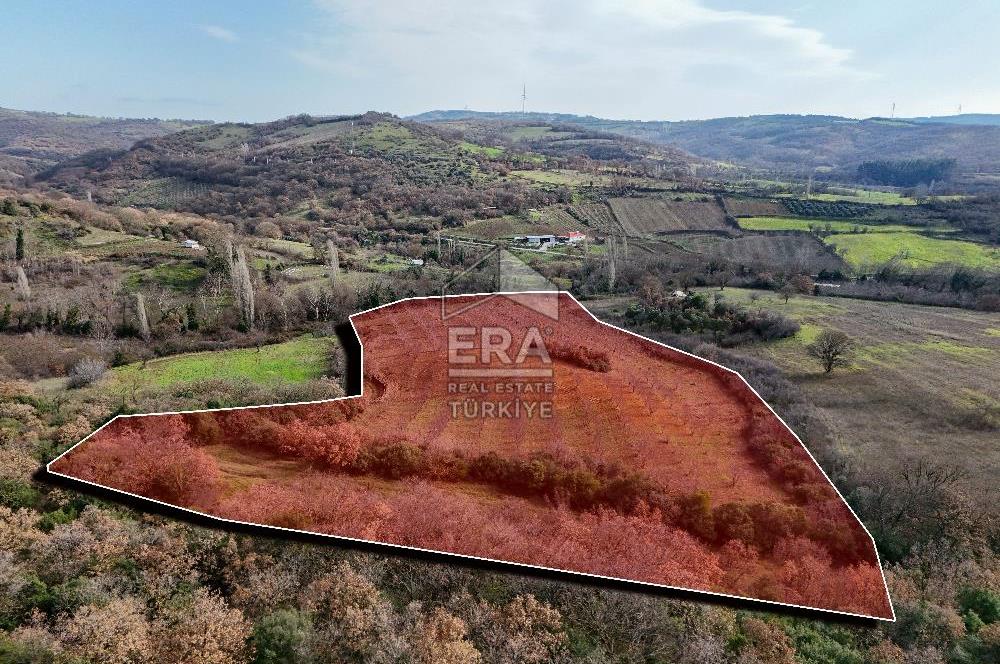 ERA SÖZ GAYRİMENKUL’DEN SAVAŞTEPE KOCABIYIKLAR’DA YATIRIMINIZI GELECEĞE TAŞIYAN, YÜKSEK KAZANÇLI CEVİZ VE BADEM BAHÇESİ!