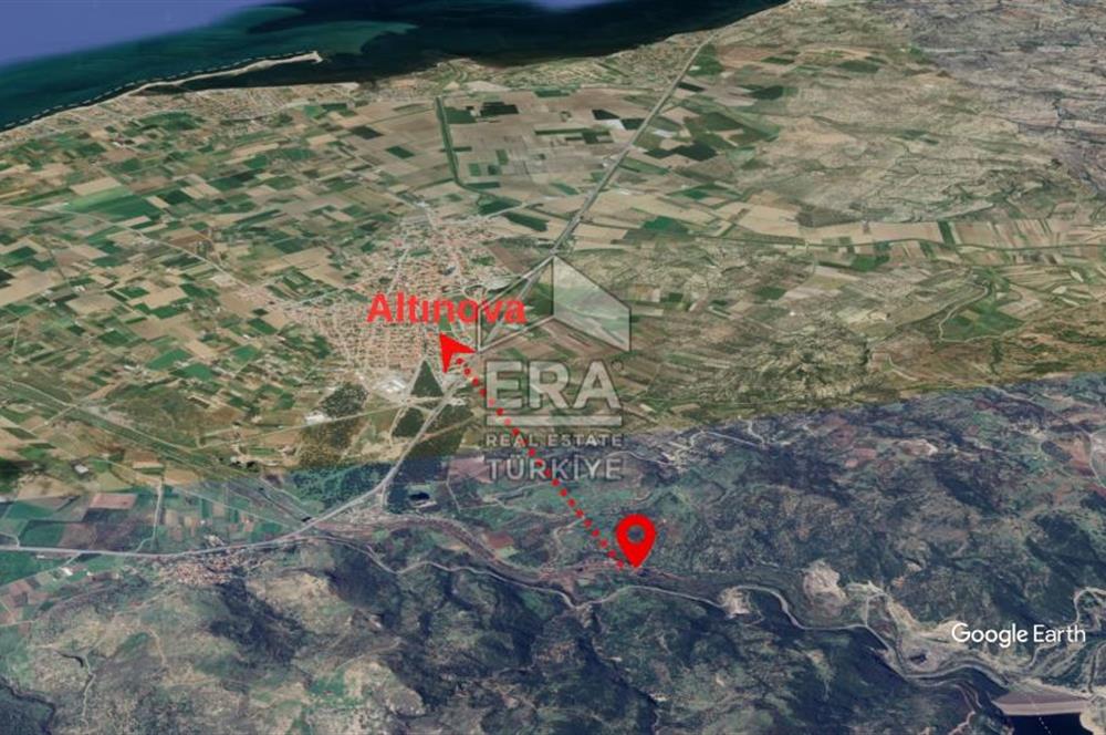 Era Angel'dan Ayvalık'ta Tarla (240 Zeytin Ağacı- 11.500m2)