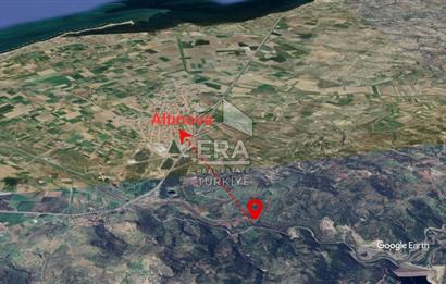 Era Angel'dan Ayvalık'ta Tarla (240 Zeytin Ağacı- 11.500m2)