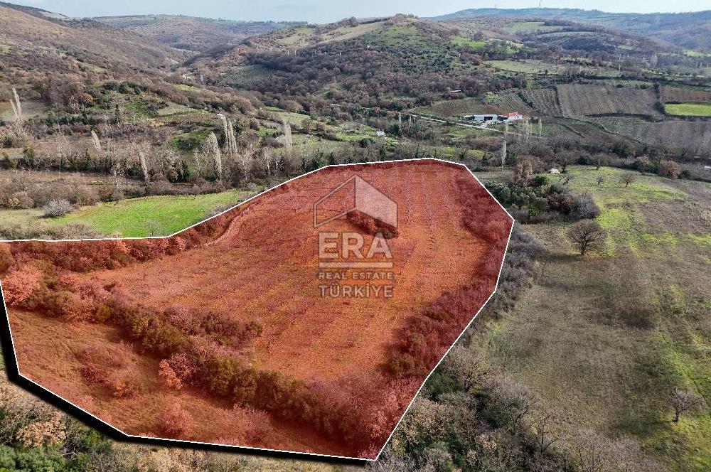 ERA SÖZ GAYRİMENKUL’DEN SAVAŞTEPE KOCABIYIKLAR’DA YATIRIMINIZI GELECEĞE TAŞIYAN, YÜKSEK KAZANÇLI CEVİZ VE BADEM BAHÇESİ!