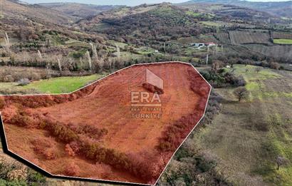 ERA SÖZ GAYRİMENKUL’DEN SAVAŞTEPE KOCABIYIKLAR’DA YATIRIMINIZI GELECEĞE TAŞIYAN, YÜKSEK KAZANÇLI CEVİZ VE BADEM BAHÇESİ!