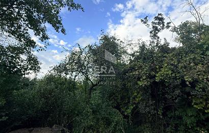 MAŞUKİYE SATILIK ARSA