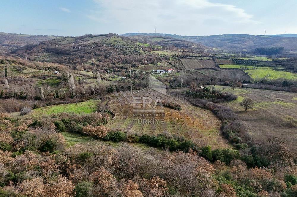 ERA SÖZ GAYRİMENKUL’DEN SAVAŞTEPE KOCABIYIKLAR’DA YATIRIMINIZI GELECEĞE TAŞIYAN, YÜKSEK KAZANÇLI CEVİZ VE BADEM BAHÇESİ!