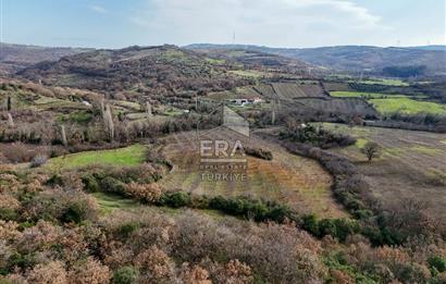 ERA SÖZ GAYRİMENKUL’DEN SAVAŞTEPE KOCABIYIKLAR’DA YATIRIMINIZI GELECEĞE TAŞIYAN, YÜKSEK KAZANÇLI CEVİZ VE BADEM BAHÇESİ!