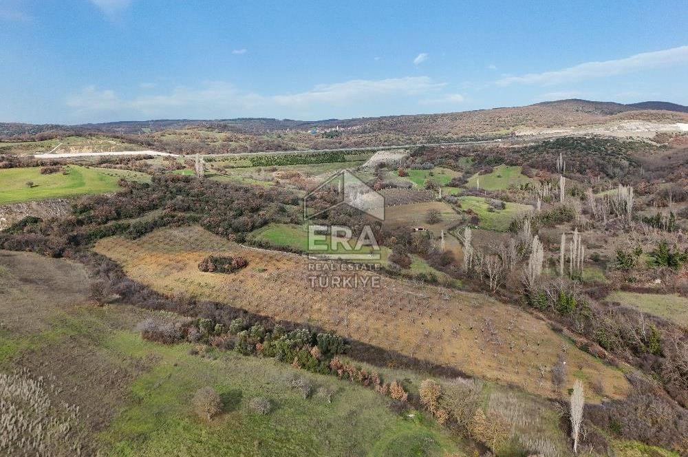 ERA SÖZ GAYRİMENKUL’DEN SAVAŞTEPE KOCABIYIKLAR’DA YATIRIMINIZI GELECEĞE TAŞIYAN, YÜKSEK KAZANÇLI CEVİZ VE BADEM BAHÇESİ!