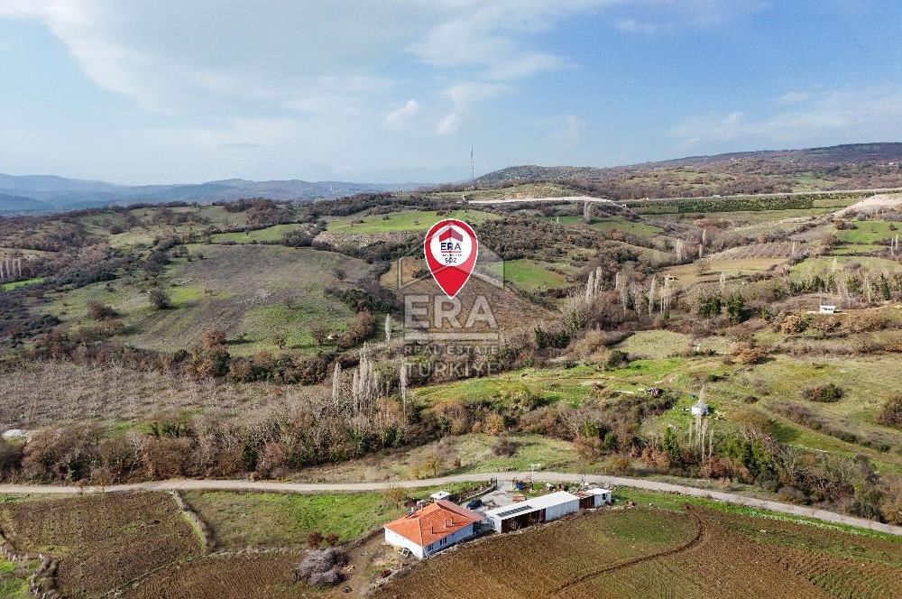 ERA SÖZ GAYRİMENKUL’DEN SAVAŞTEPE KOCABIYIKLAR’DA YATIRIMINIZI GELECEĞE TAŞIYAN, YÜKSEK KAZANÇLI CEVİZ VE BADEM BAHÇESİ!