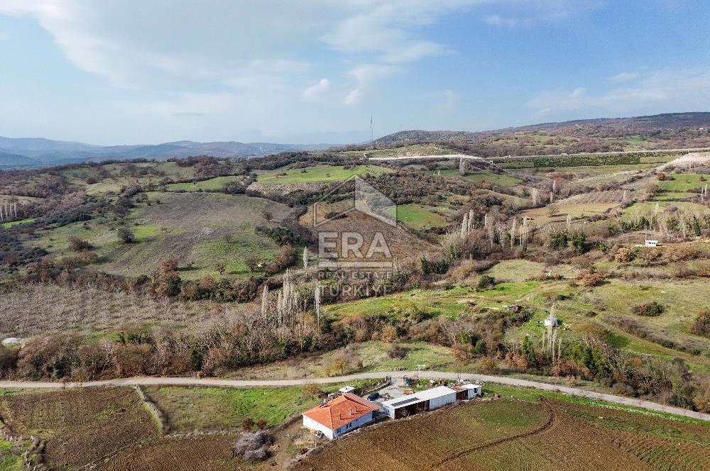 ERA SÖZ GAYRİMENKUL’DEN SAVAŞTEPE KOCABIYIKLAR’DA YATIRIMINIZI GELECEĞE TAŞIYAN, YÜKSEK KAZANÇLI CEVİZ VE BADEM BAHÇESİ!