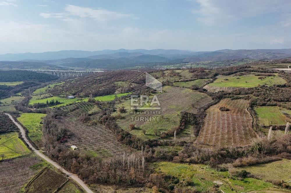 ERA SÖZ GAYRİMENKUL’DEN SAVAŞTEPE KOCABIYIKLAR’DA YATIRIMINIZI GELECEĞE TAŞIYAN, YÜKSEK KAZANÇLI CEVİZ VE BADEM BAHÇESİ!