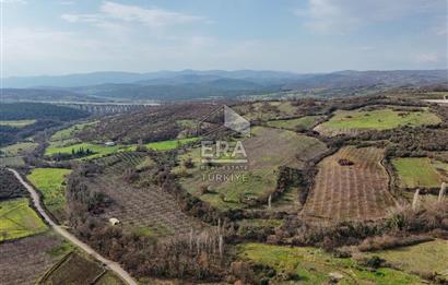 ERA SÖZ GAYRİMENKUL’DEN SAVAŞTEPE KOCABIYIKLAR’DA YATIRIMINIZI GELECEĞE TAŞIYAN, YÜKSEK KAZANÇLI CEVİZ VE BADEM BAHÇESİ!